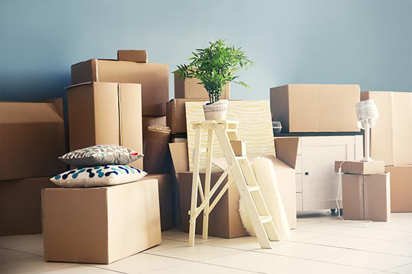 Pioneer Logistics and Packers